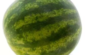 Natures Pick Mini Watermelon