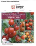 Nurserymans Choice Tomatoes 5 plants W/Code