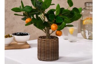 OHS Orange Tree In Basket – Green/Orange