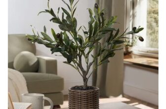 OHS Small Green Olive Tree With Olives In A Natural Woven Basket, Height: 50cm