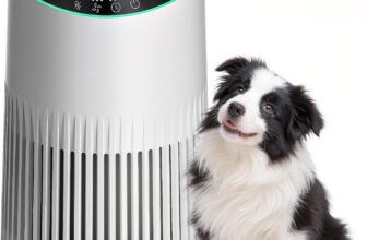 Operan Air Purifier Allergy Home Bedroom Office, HEPA Filters with Aromatherapy Diffuser, Air Purifier for Smoke, Allergies, Pet Dander, Air Frenshener, 1 Pack3 Modes