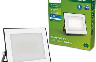 PHILIPS Lois Outdoor Floodlight, 30 W, 3000 K, Black