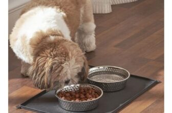 Penguin Home 4-Pack Stainless Steel Pet Bowls with Non-Slip Mat