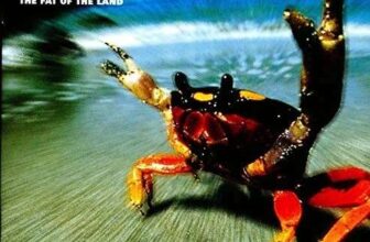 Prodigy Fats of The Land CD (Used Very Good) – sold by World of Books Ltd