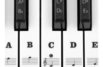 Removable Piano Keyboard Note Labels Sticker (Black)