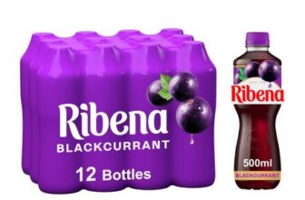 Ribena Blackcurrant Juice Drink 500ml Multipack 12