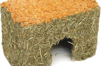 Rosewood Naturals Small Carrot Cottage for Small Animals – Edible Toy, Hay House, Den and Hideout for Hamsters, Gerbils and Mice