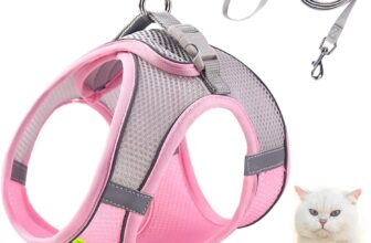 Soft Mesh Reflective Dog Harness & Leash Set – No Pull Escape Proof Step-in Vest for Small Medium Dogs, Puppies, Cats Night Walks (XS)