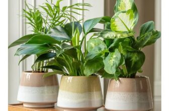 Stoneware Reactive Glaze Plant Pot Set of 3