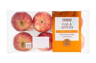Tesco Gala Apples 6 Pack Club Card Price