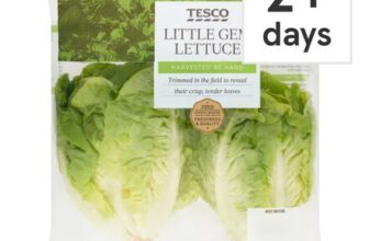 Tesco Little Gem Lettuce Twin Pack