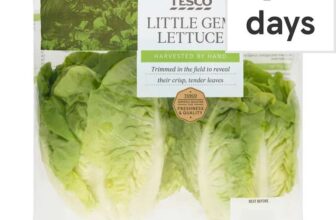 Tesco Little Gem Lettuce Twin Pack / Tesco Celery – clubcard price