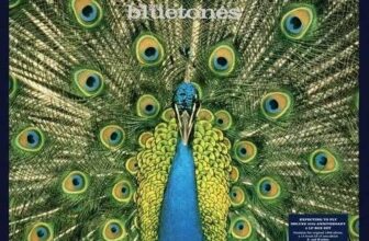 The Bluetones : Expecting to Fly VINYL 25th Anniversary 12 Album Box Set 3 Vinyl LPs – With Code – Sold by musicMagpie Shop