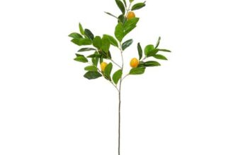 The Outdoor Edit Mediterranean Lemon Pick