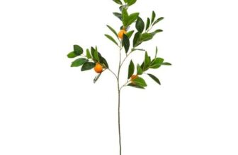 The Outdoor Edit Mediterranean Orange Pick