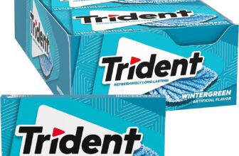 Trident Wintergreen Sugar Free Chewing Gum with Xylitol 14 Sticks 39 g
