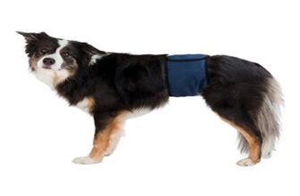 Trixie Belly Band for Male Dogs
