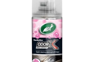 Turtle Wax 54099 Odor-X Whole Car Blast 100ml – New Car Experience