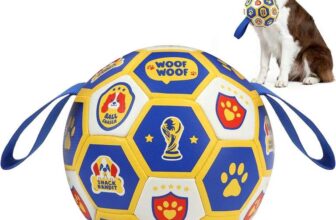 Vivifying Interactive Dog Toys Ball – Sold by Vivifying Direct / FBA