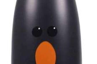 Wallace and Gromit Metal Water Bottle – Feathers McGraw