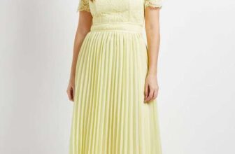 Wallis Lace Pleated Midi Dress – w/Code