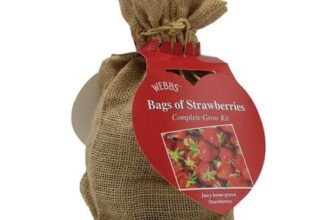 Webbs Complete Grow Set – Bag of Strawberries