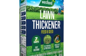 Westland Lawn Thickener 80m2 Box