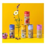 Wildflower Collection (Set of Five)-Seed Balls