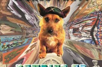 World Party Dumbing Up Double Vinyl album