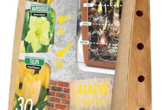 Yellow Lasagne Mix 30 Spring Flower Bulbs – 15% off coupon S&S