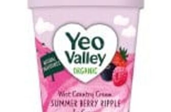 Yeo Valley Organic Summer Berry Ice Cream