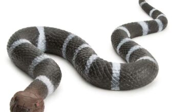 Zappi Co Snake Squad Banded Snake Toy – 58cm