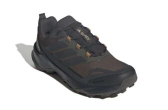 adidas Mens Terrex Skychaser AX5 Gore-TEX Hiking Shoes (Colour: Shadow Olive Carbon Bronze Strata)