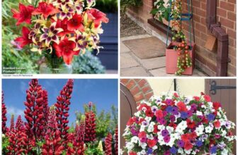 £10 Off A £20 Spend across entire range of plants, bulbs, seeds and gardening equipment With Code