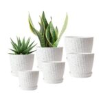 6-Pack Plastic Plant Pots with Self-Watering, Drainage Holes, Tray, White