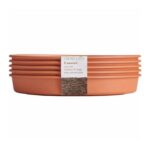Clever Pots Medium and Large Easy Release Propagation Pots Saucers 5 Pack