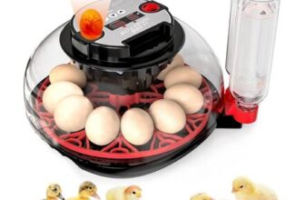 Egg Incubators for Hatching Eggs