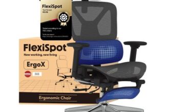 FLEXISPOT ErgoX Ergonomic Office Chair with Footrest Grey 136kg