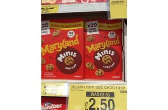 Maryland Minis Choc Chip Mini Bags Box 20pk