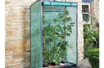 Smart Garden Tomato GroZone