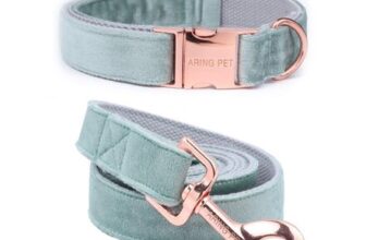 ARING PET Green Velvet Dog Collar and Leash Set, Small