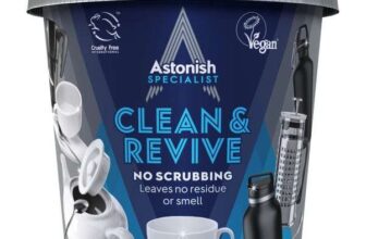 Astonish Specialist Clean & Revive (free click and collect)