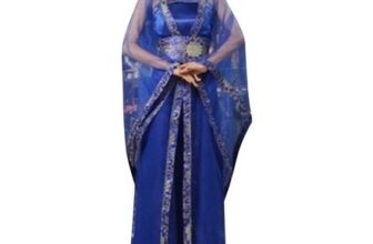 Womens Hanfu Costume, Sheer Wide Sleeves, Dynasty Princess Dress