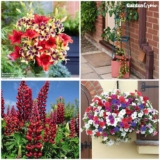 £10 Off A £20 Spend across entire range of plants, bulbs, seeds and gardening equipment With Code