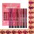 12 Colors Matte Lip Liner Pencil Set,Creamy Matte Velvet Lipstick,One Step Lips Makeup Kit,Fit Colors Long Lasting Waterproof Smooth High Pigmented Lip Makeup Pencil for Daily