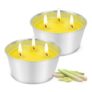 2 Outdoor Citronella Candles