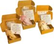 3 Mini Pocket Hug Plush Bears, Worry Bear in a Box Set with Inspirational Cards, Little Bear Emotional Support Gift for Friends Family Children, Positive Gifts (light brown, white,pink)
