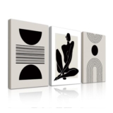 3Pcs Framed Boho Abstract Wall Art Decor, Black and White