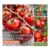 4 Grafted Tomato Plants ONLY £3 Each With Free Delivery