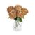 5 Pcs Real Touch Silk Coffee Roses with Stems